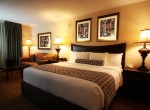 Crowne Plaza King Bed