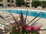 Crowne Plaza Pool